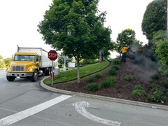 Commercial mulching 